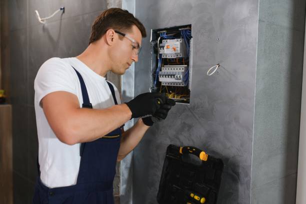 Best Local Electrician Companies  in Frewsburg, NY